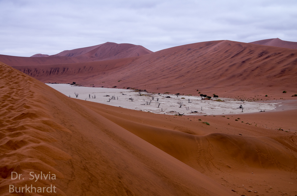 Weg zum Deadvlei