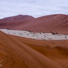 Weg zum Deadvlei