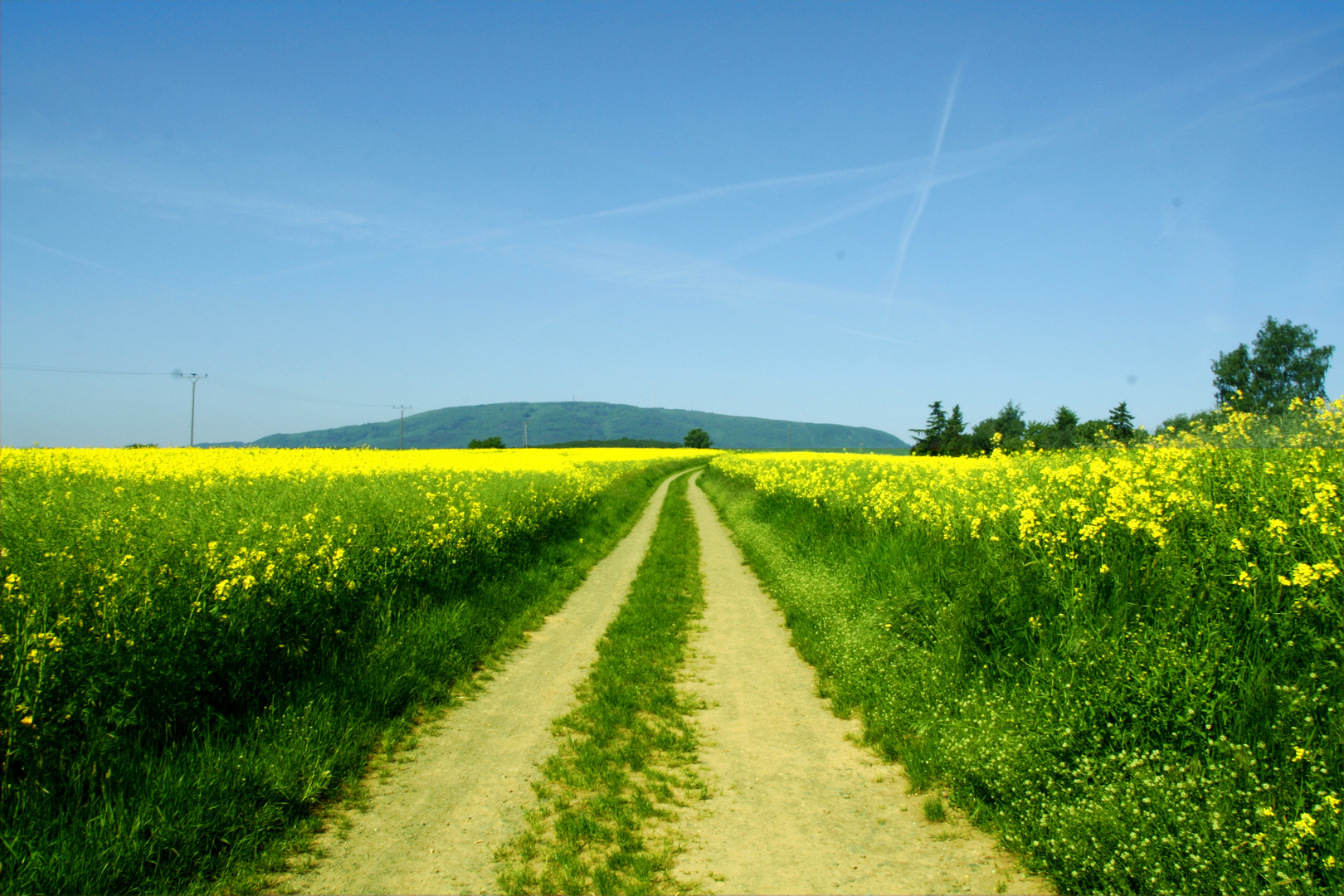 Weg zum Donnersberg