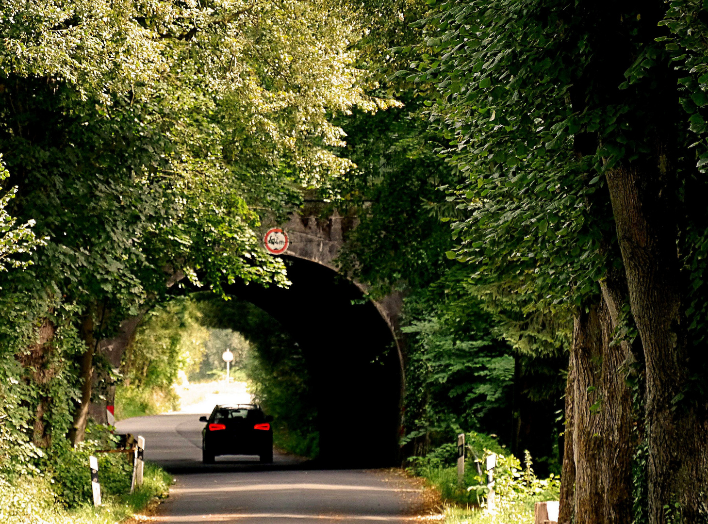 Weg zum Eckbusch.  - Blick durch den  Tunnel. -