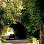 Weg zum Eckbusch.  - Blick durch den  Tunnel. -