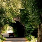 Weg zum Eckbusch.  - Blick durch den  Tunnel. -