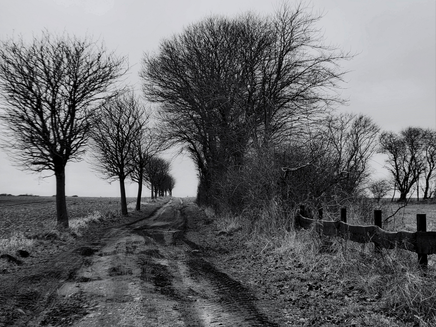 Weg zum Feld oder Feldweg.....