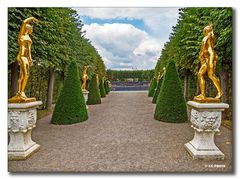 Weg zum Gartentheater - Schlossgarten Herrenhausen