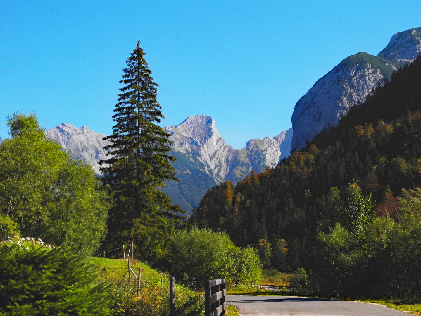 Weg zum großen Ahornboden