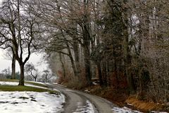 Weg zum Hörschbach-Wasserfall