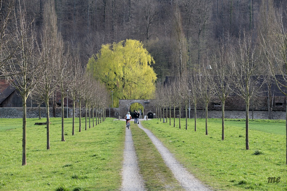 Weg zum Hofgut Sirnau