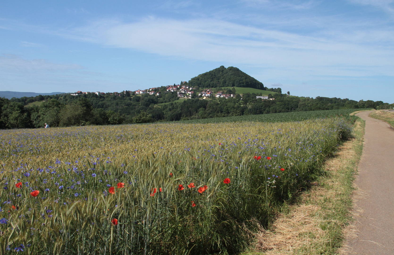 Weg zum Hohenstaufen