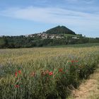 Weg zum Hohenstaufen