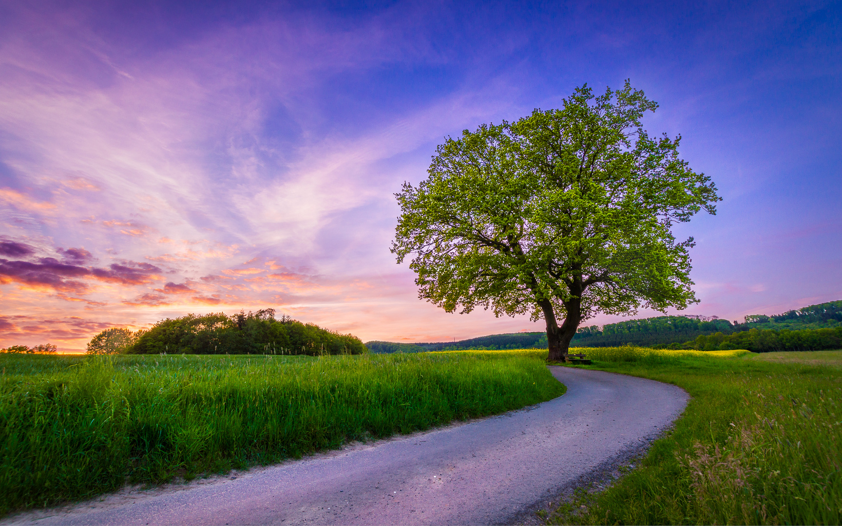 Weg zum Horizont