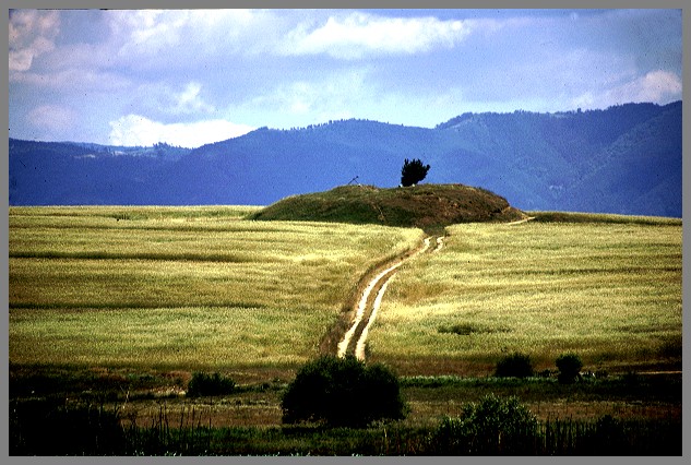 Weg zum Hügel