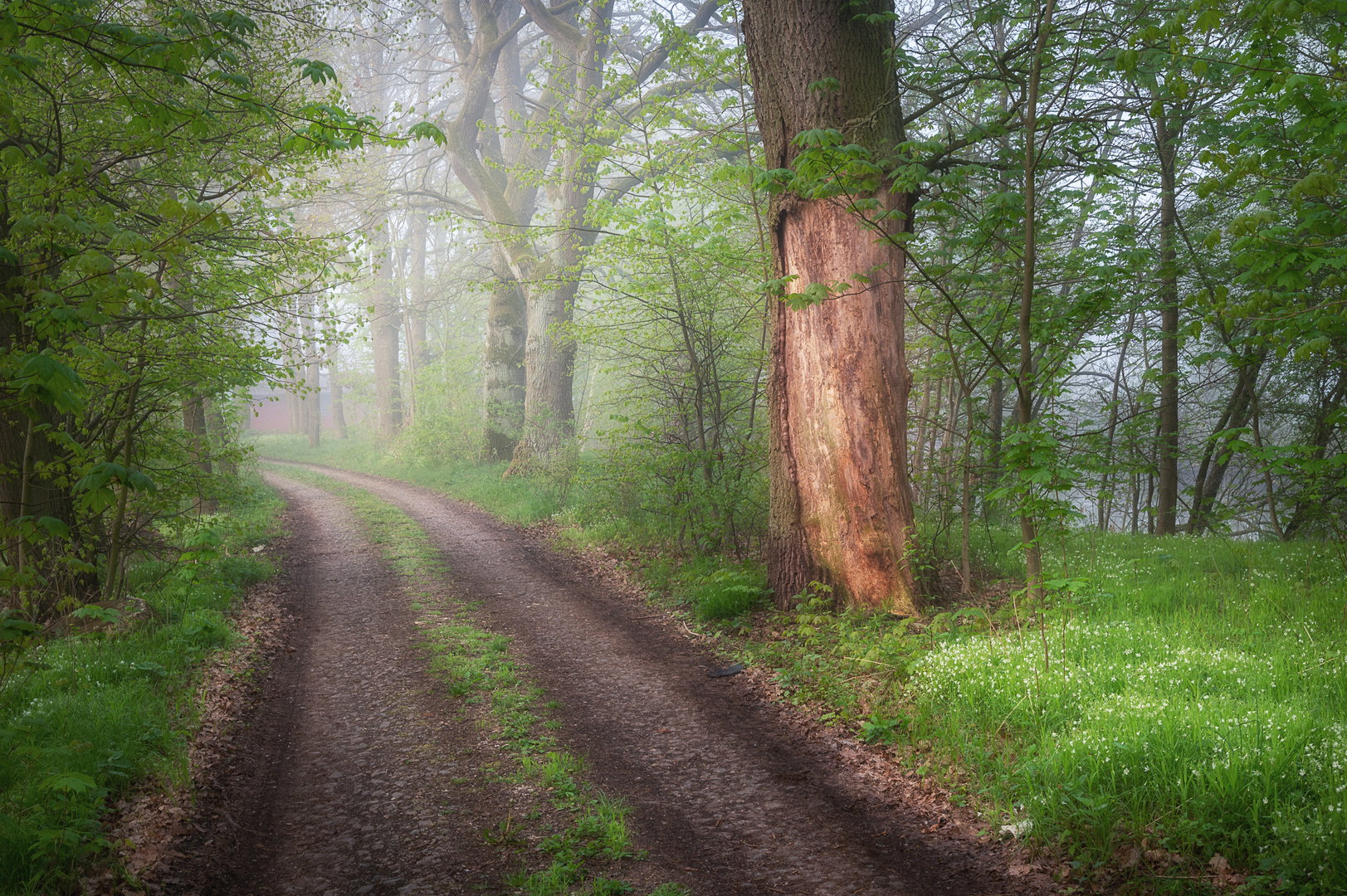 Weg zum Hundeplatz