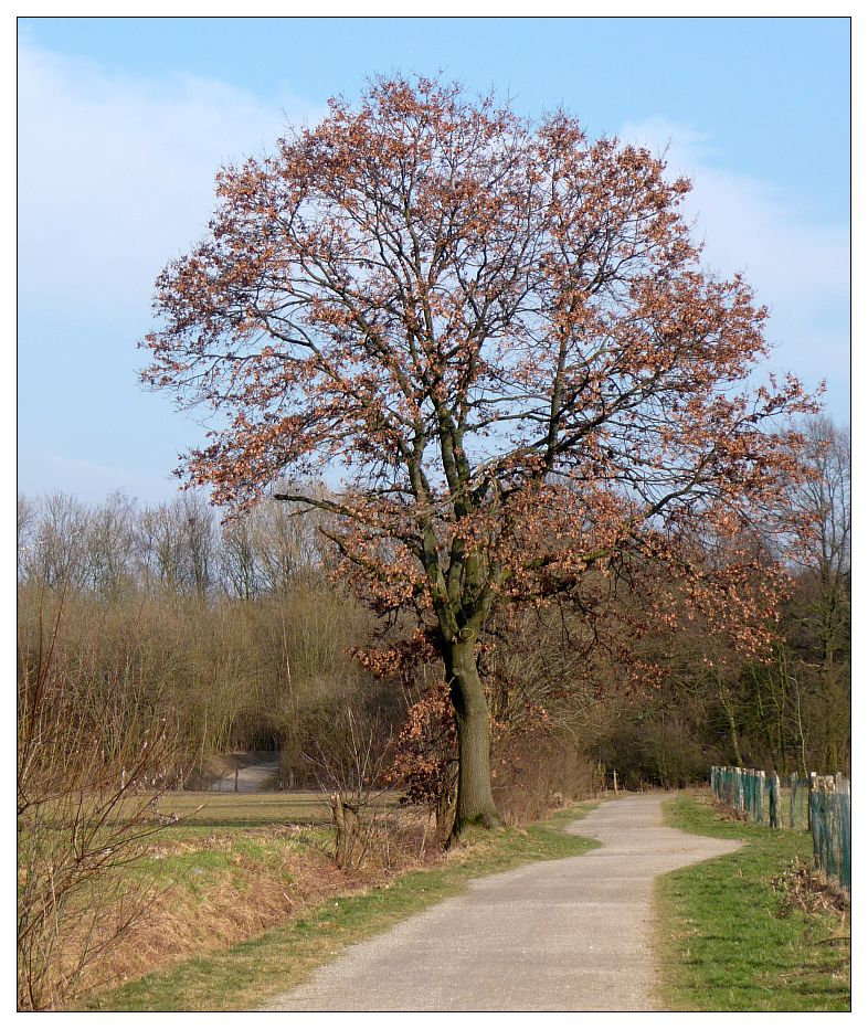 Weg zum Kanal von chsba 