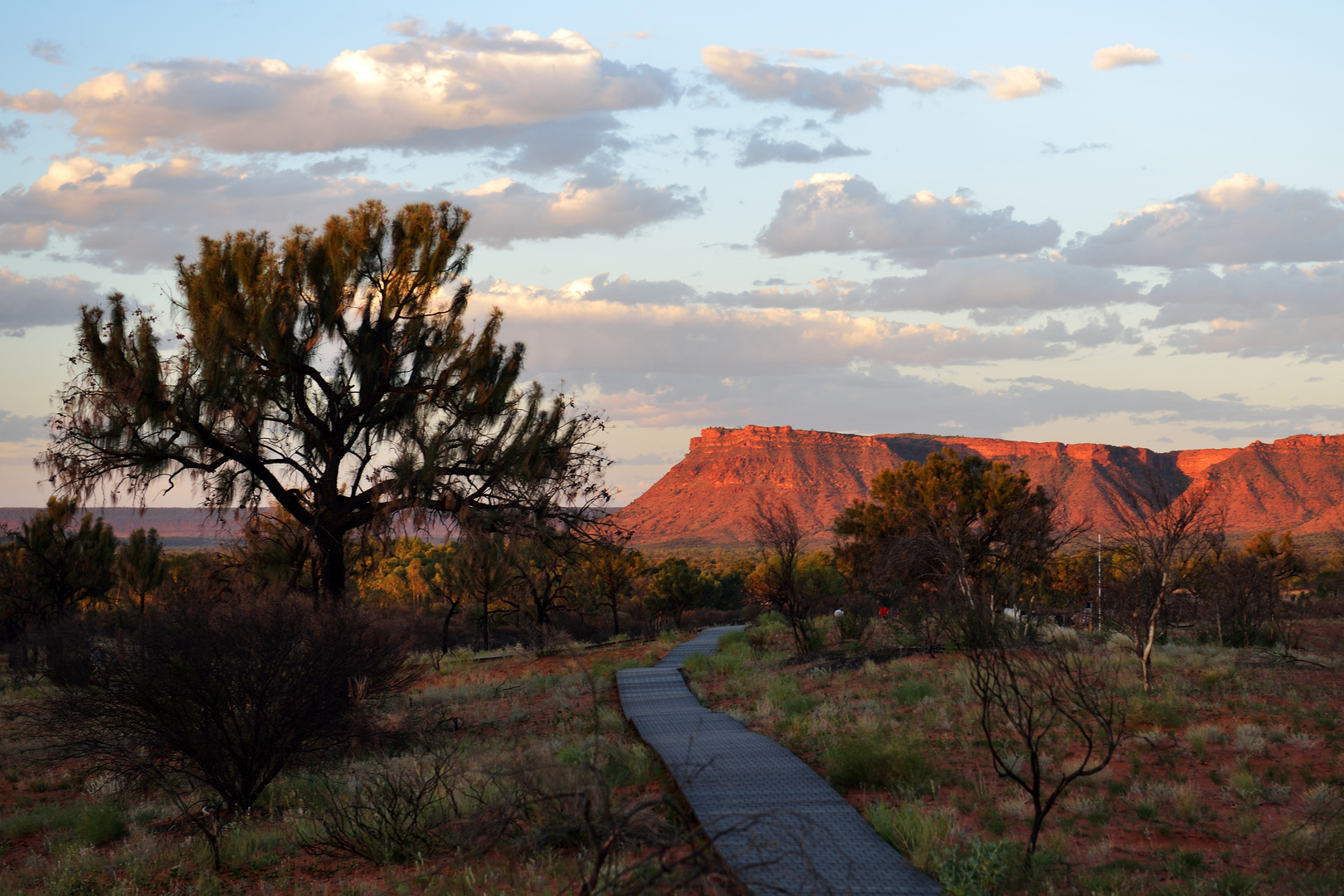 Weg zum Kings Canyon