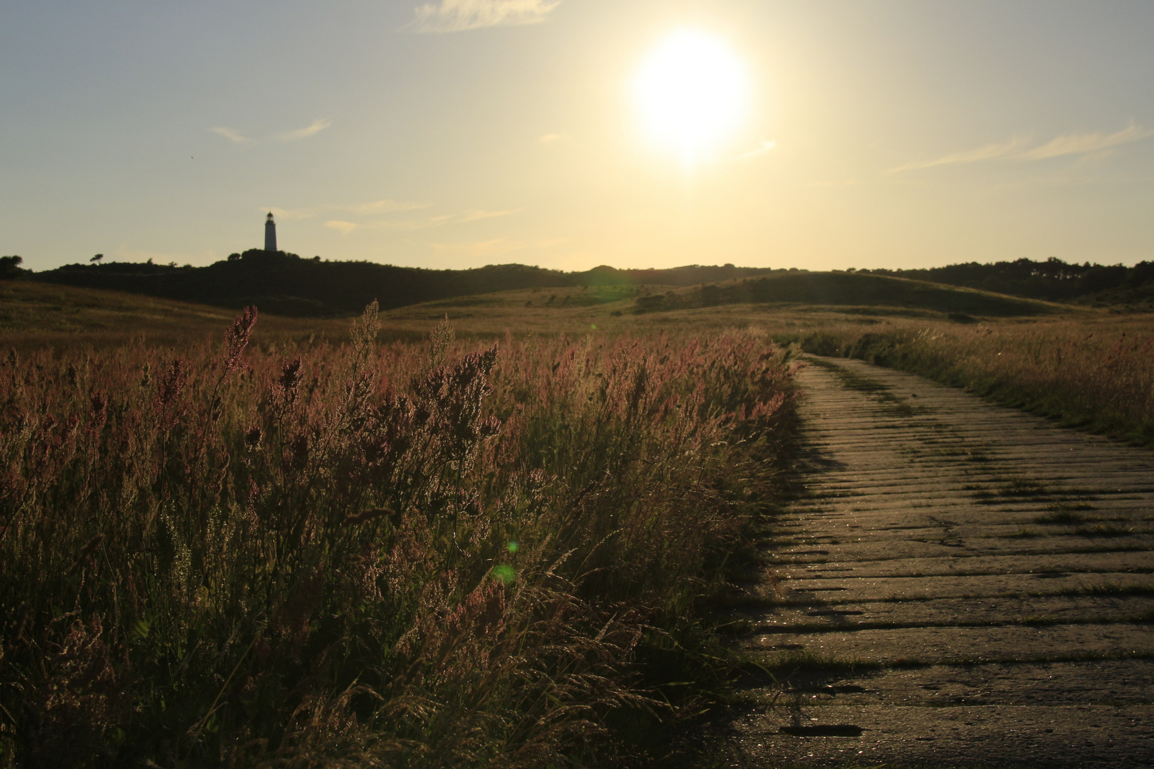 Weg zum Leuchtturm