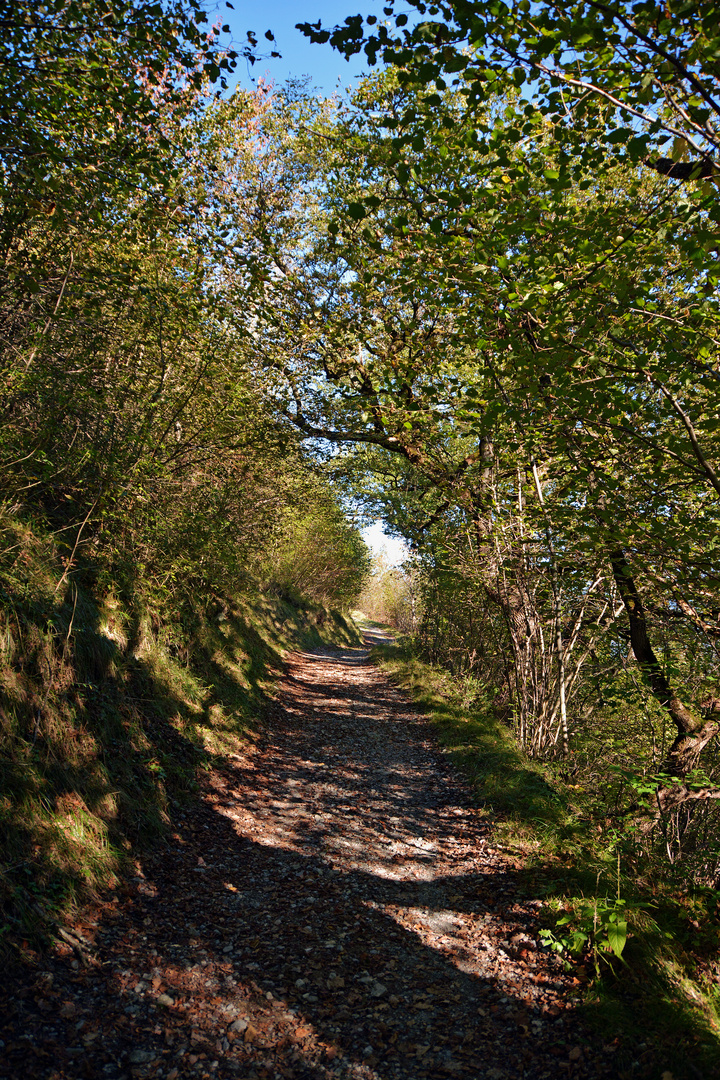 Weg zum Licht?