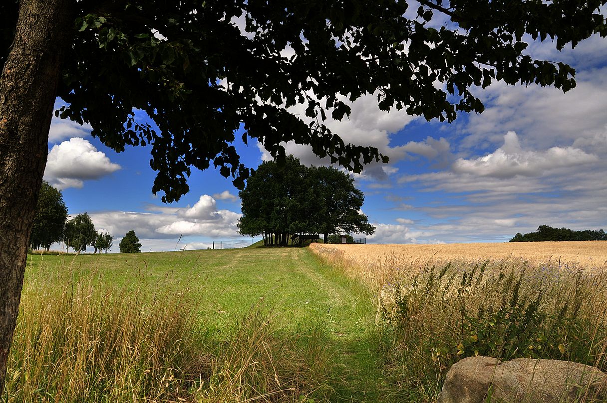 Weg zum Lochberg-Gipfel