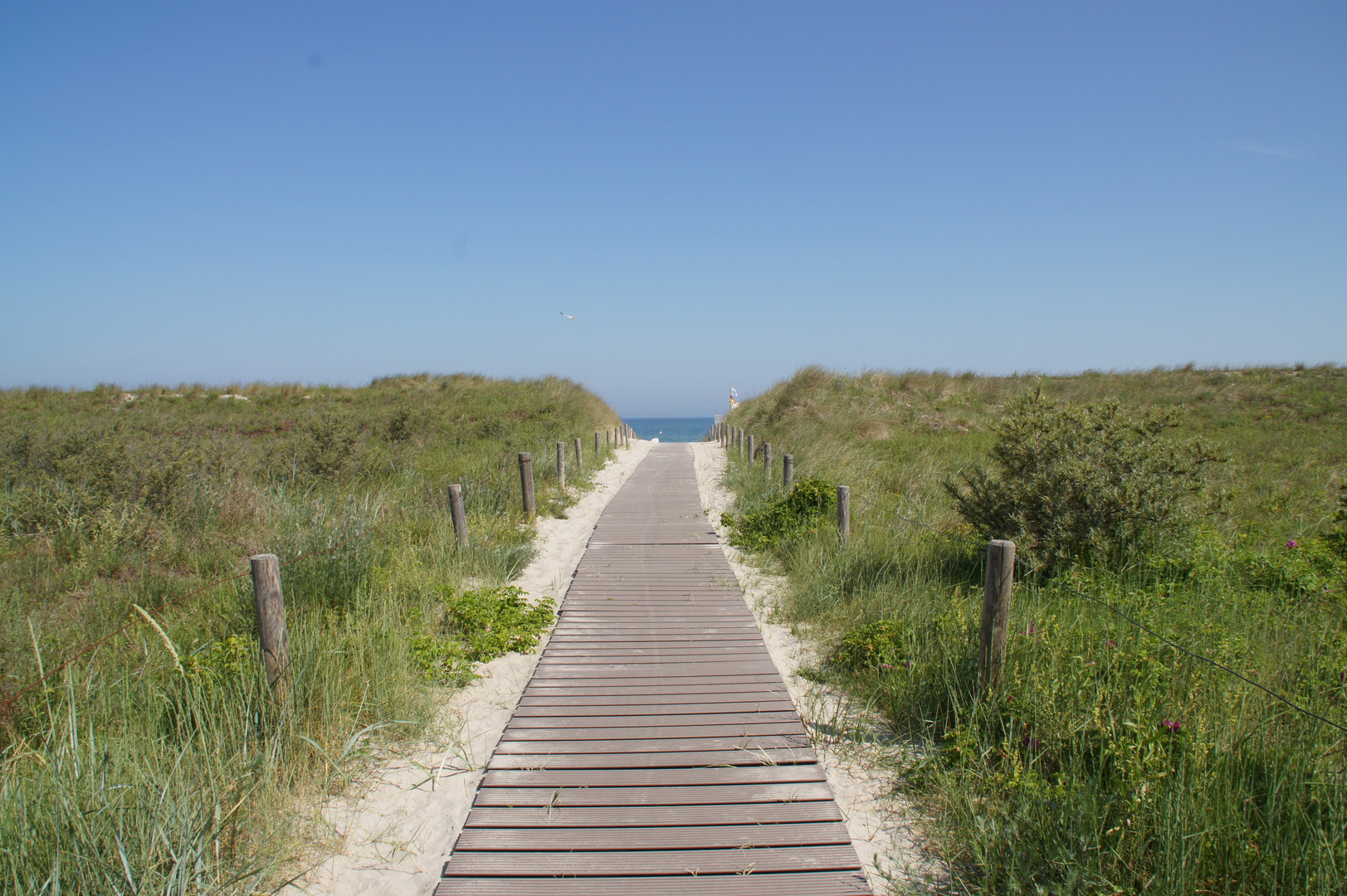 Weg zum Meer