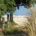 Weg zum Meer - Ile d'Öleron, SW Frankreich