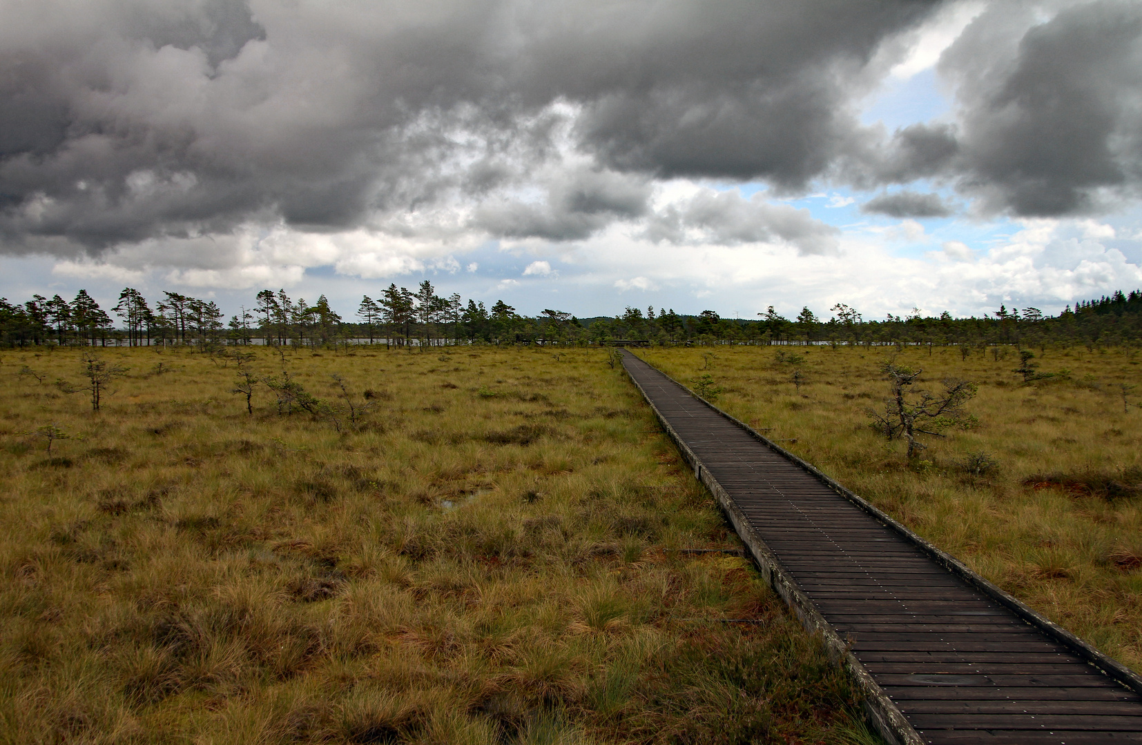 Weg zum Moorsee