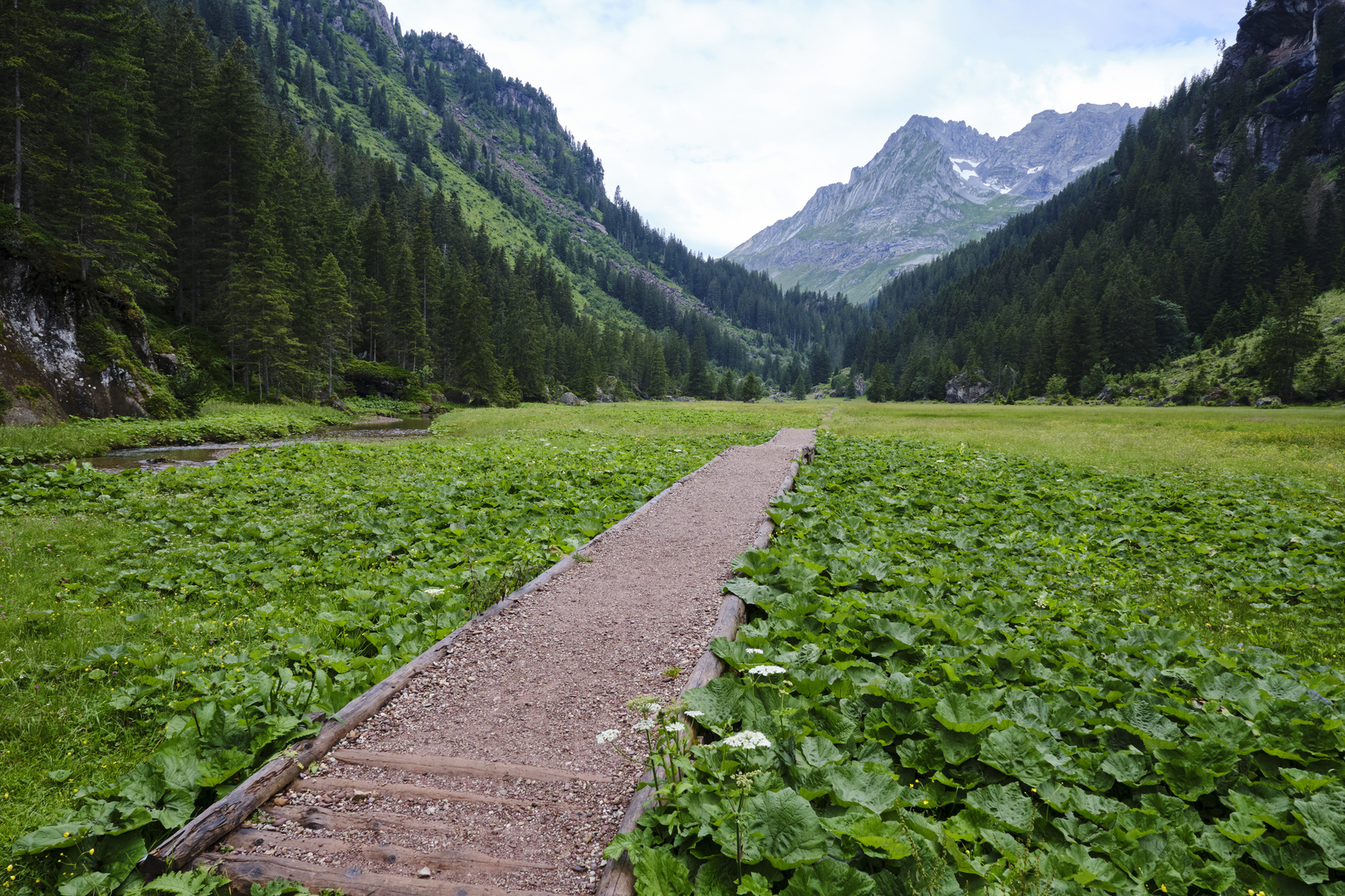 Weg zum Mürtschenstock