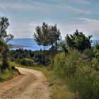 Weg zum Naturstrand Ciganka - Lopar / Insel Rab