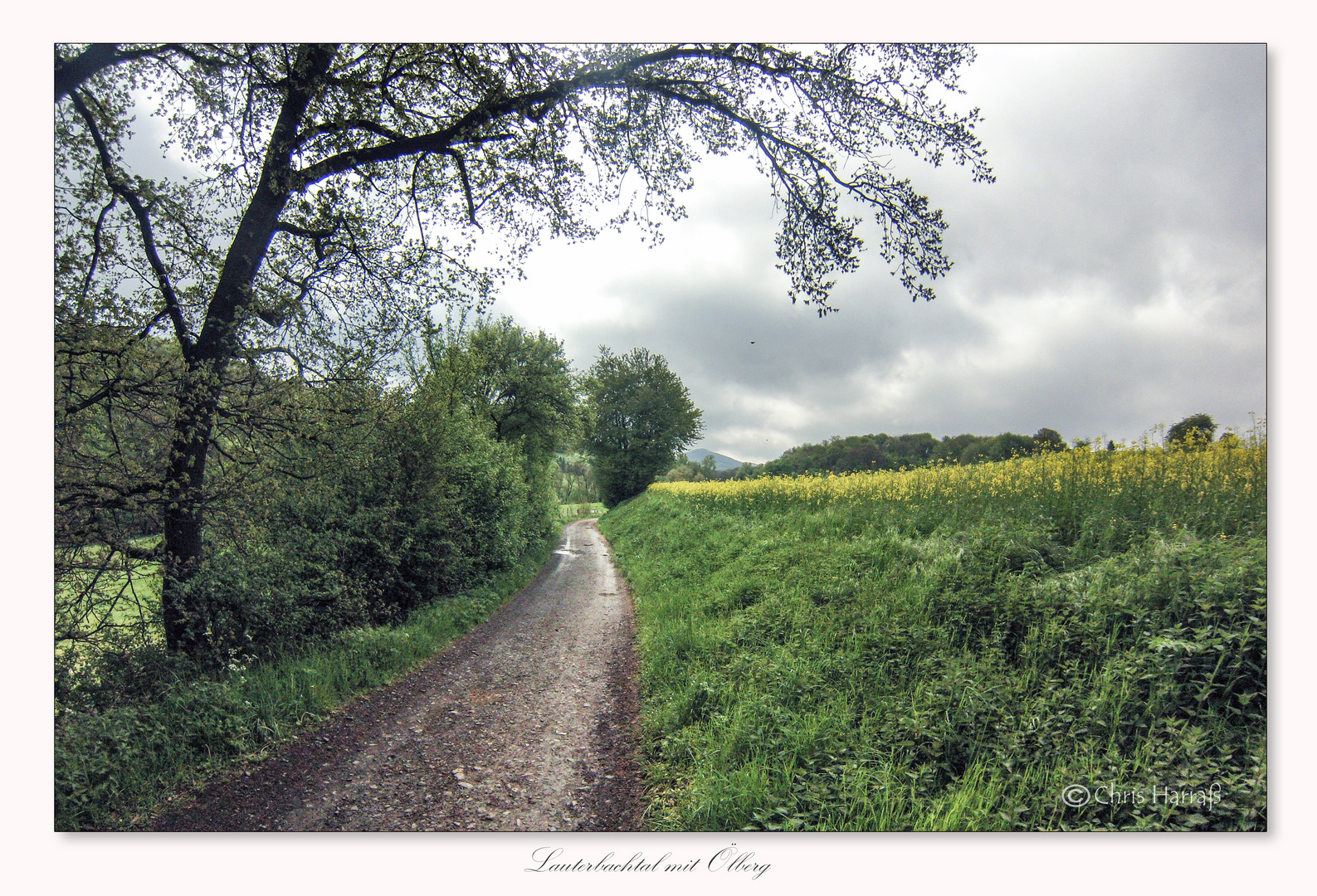 Weg zum Ölberg