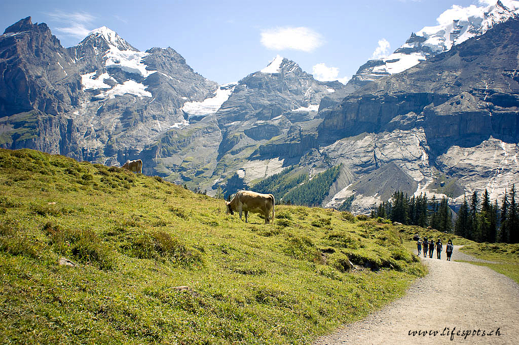 Weg zum Oschinen See