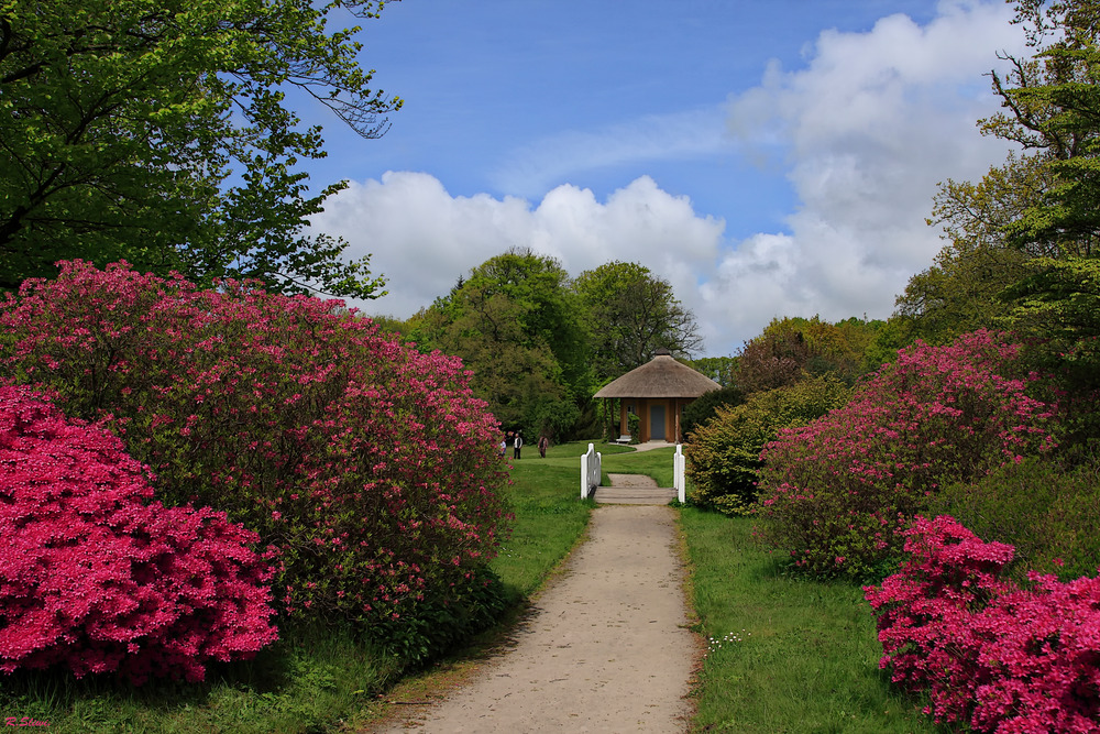 Weg zum Pavillon