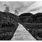 Weg zum Preikestolen