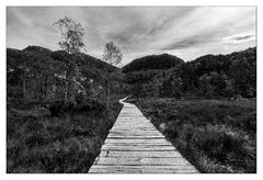 Weg zum Preikestolen