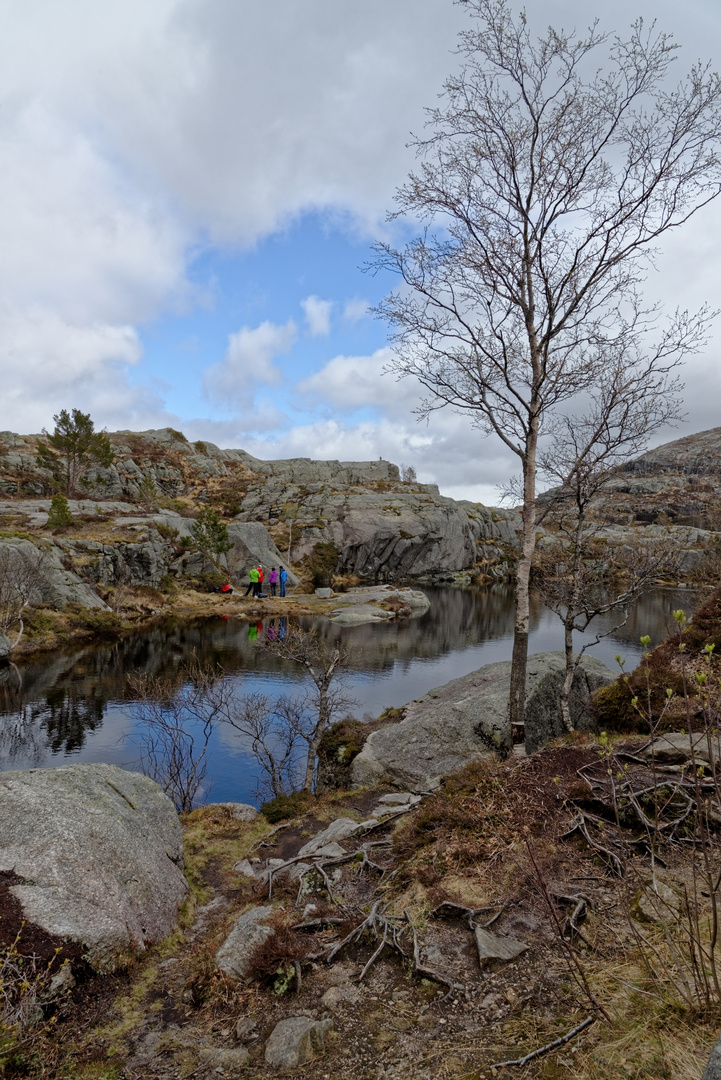 Weg zum Preikestolen | Norwegen