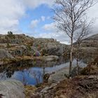 Weg zum Preikestolen | Norwegen