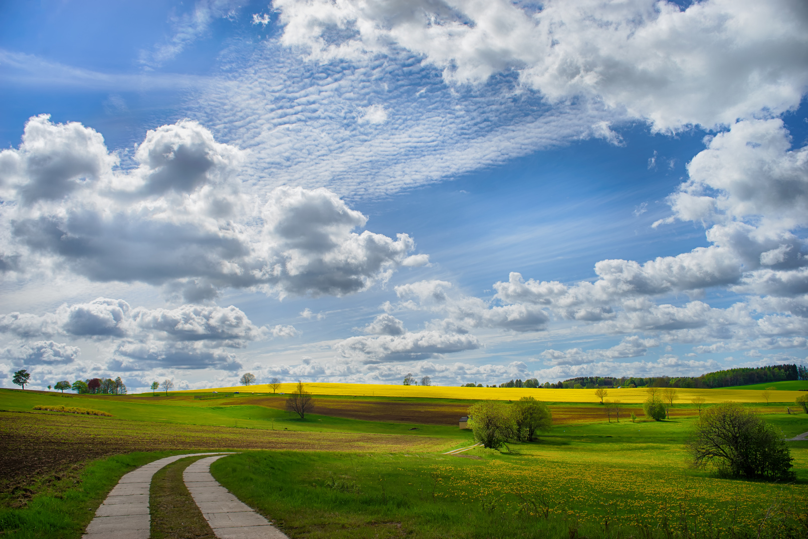 Weg zum Raps