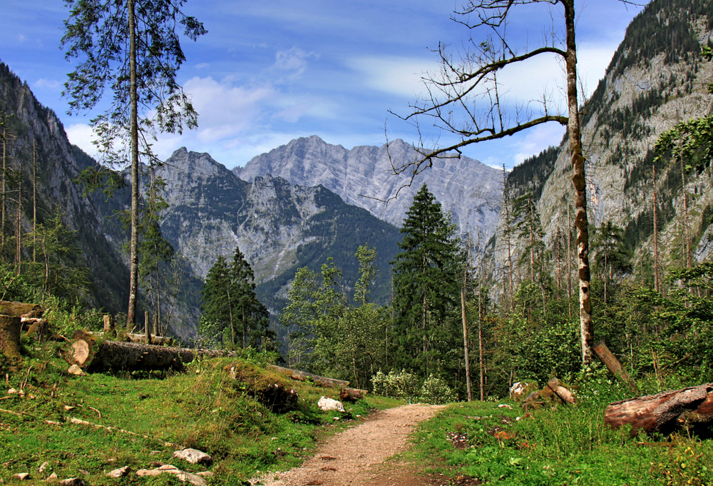 Weg zum Röthbach-Wasserfall (1)