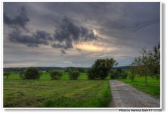 Weg zum schiefen Baum