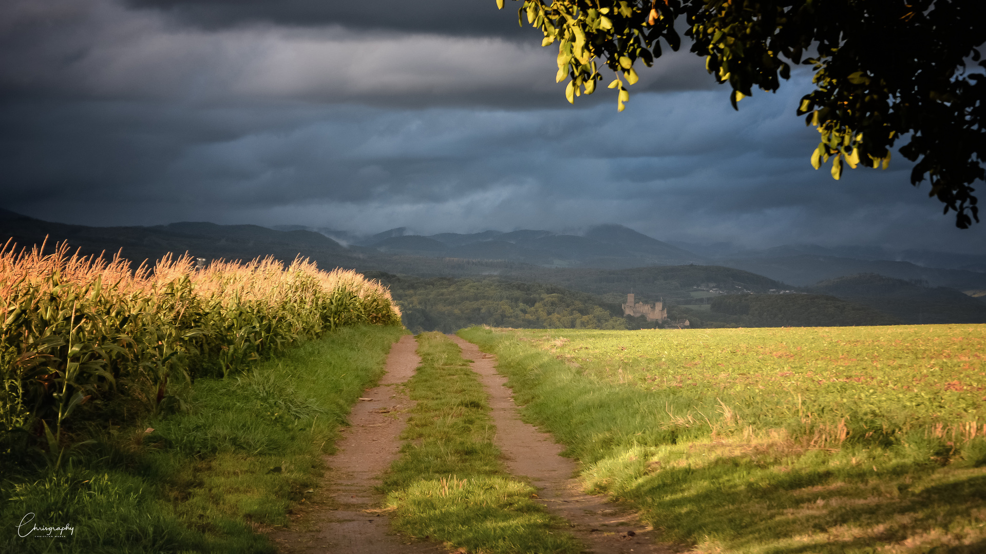 Weg zum Schloss