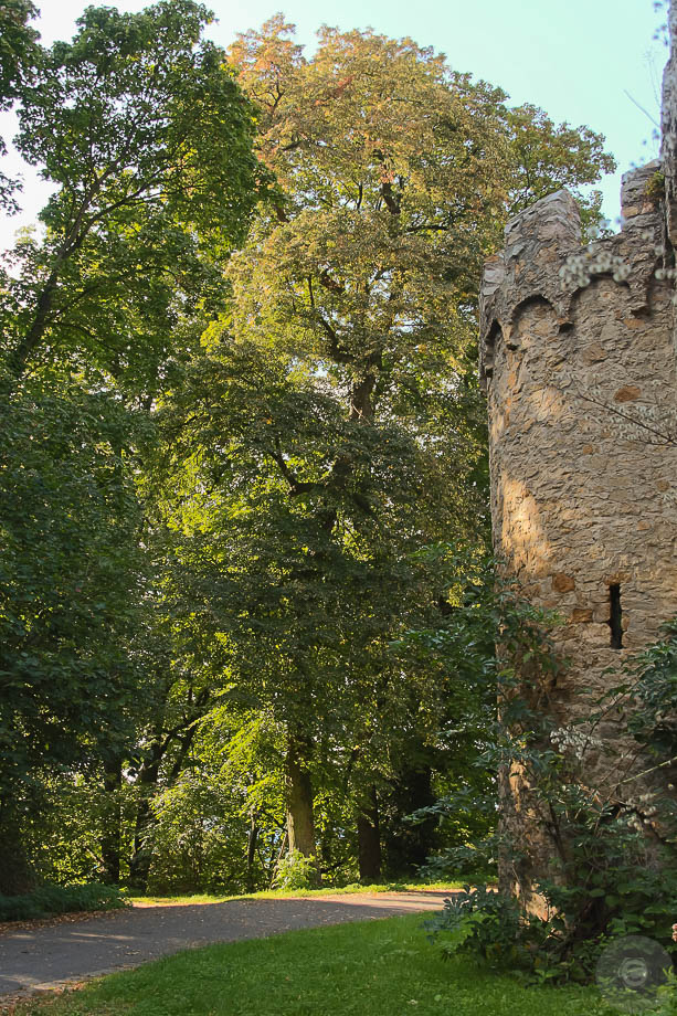 Weg zum Schloss Alsbach - Herbstimpression