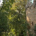 Weg zum Schloss Alsbach - Herbstimpression