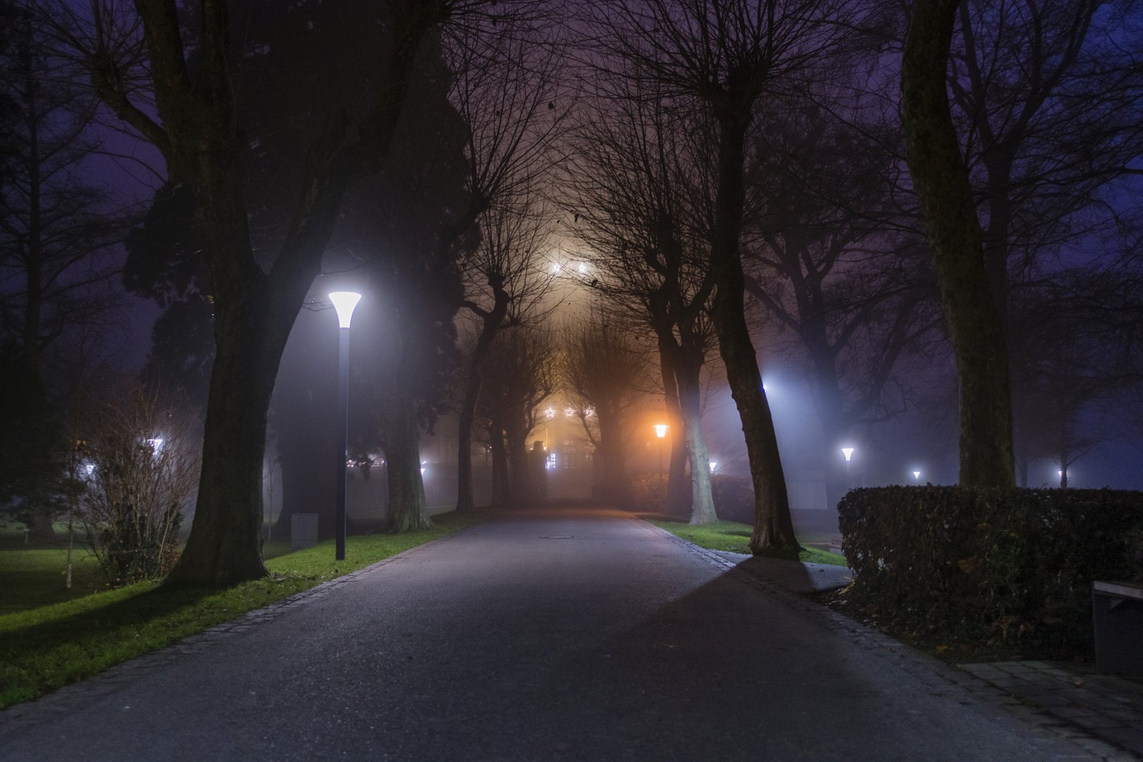 Weg zum Schloss Montfort bei Nacht