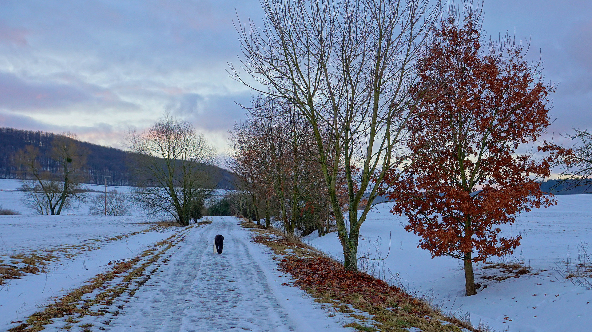 Weg zum See, 1 (el camino al lago, 1)