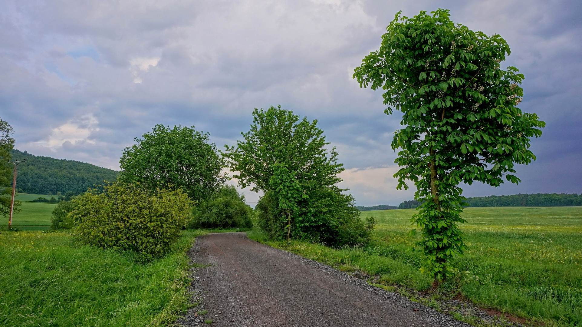 Weg zum See, 2 (camino al lago, 2)