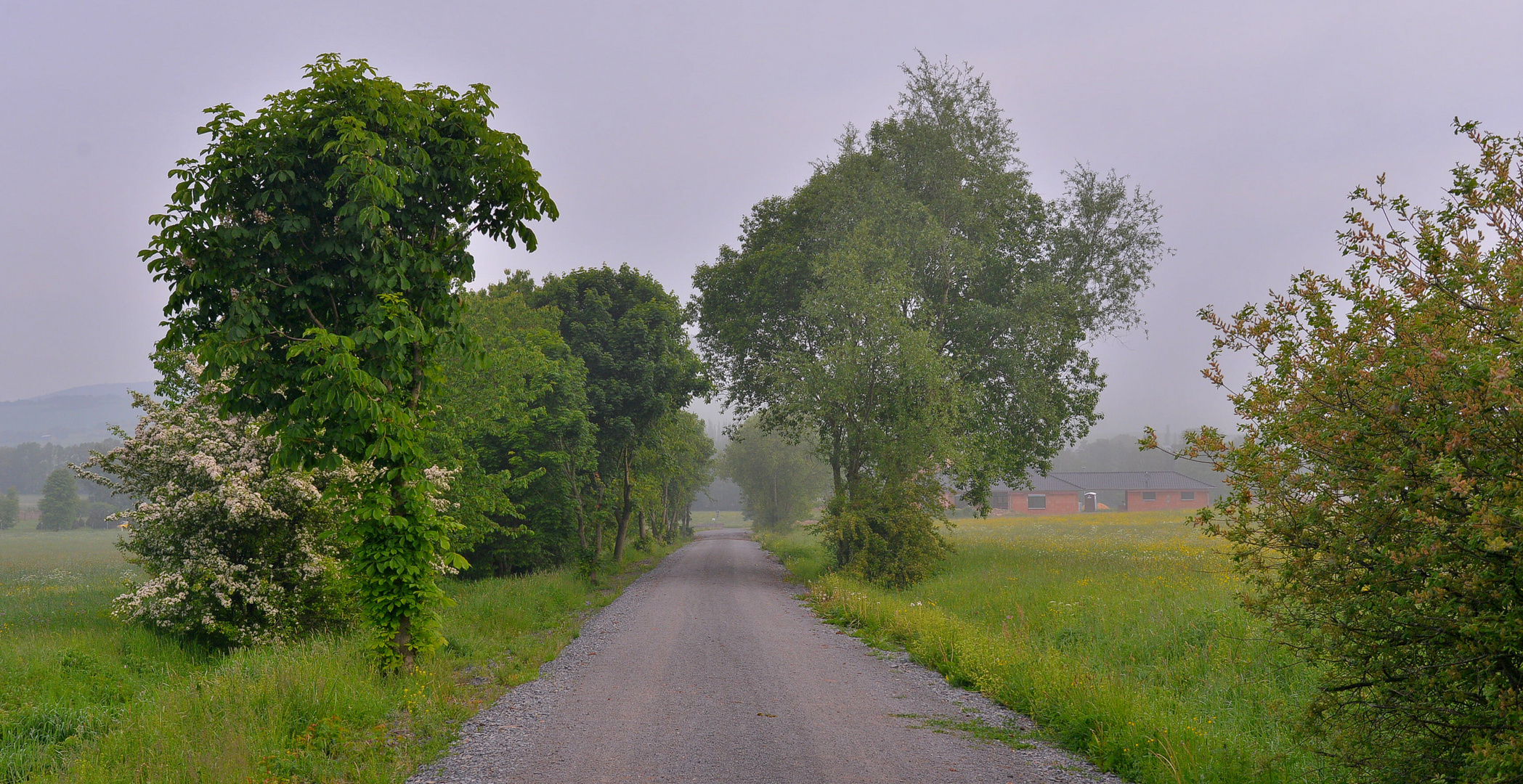 Weg zum See, 3 (camino al lago, 3)