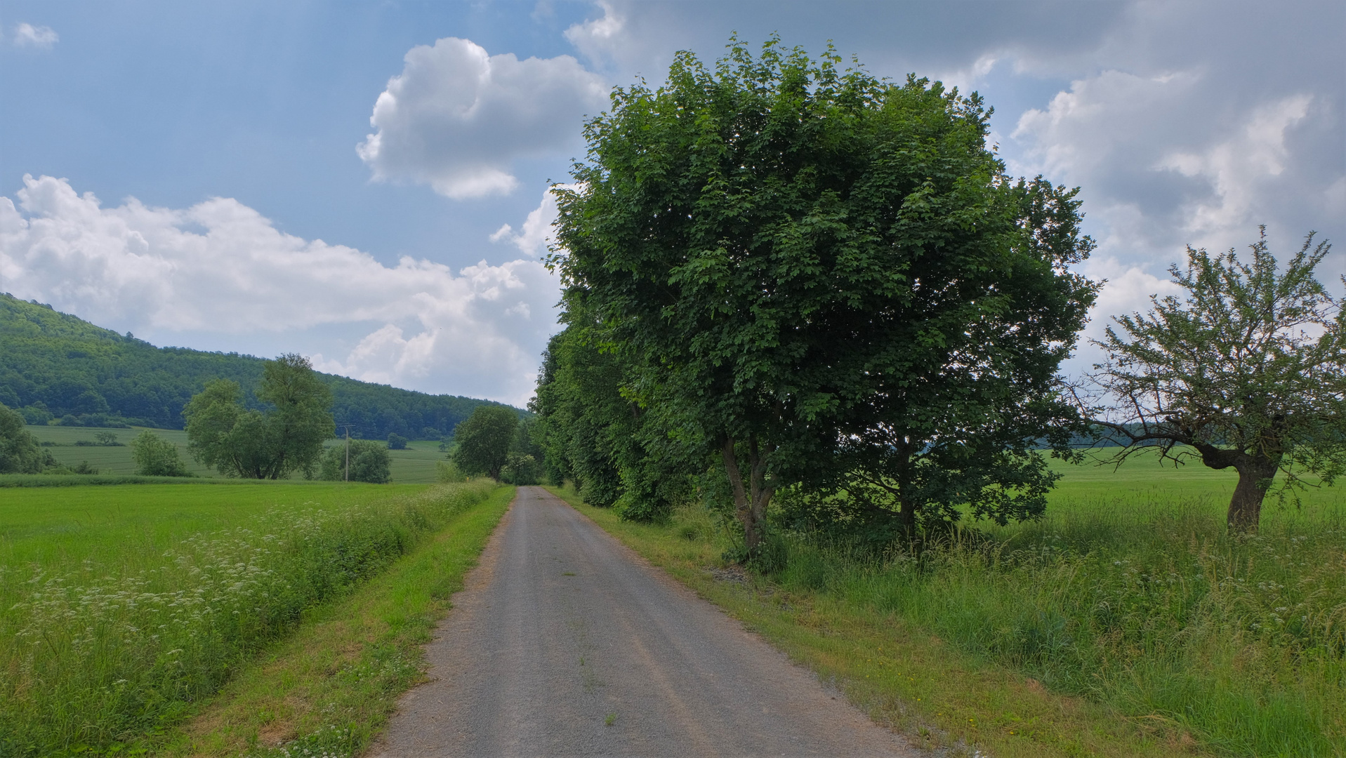 Weg zum See (camino al lago)