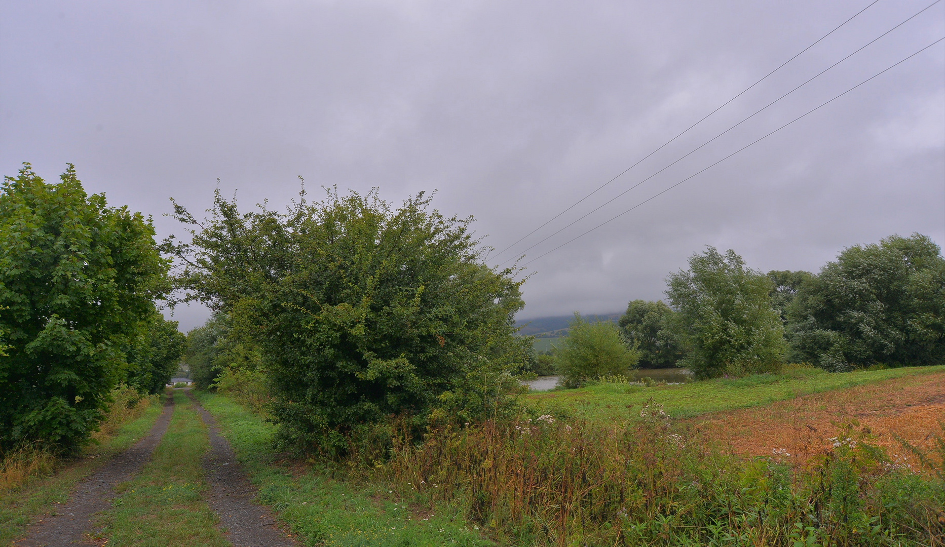 Weg zum See (camino al lago)