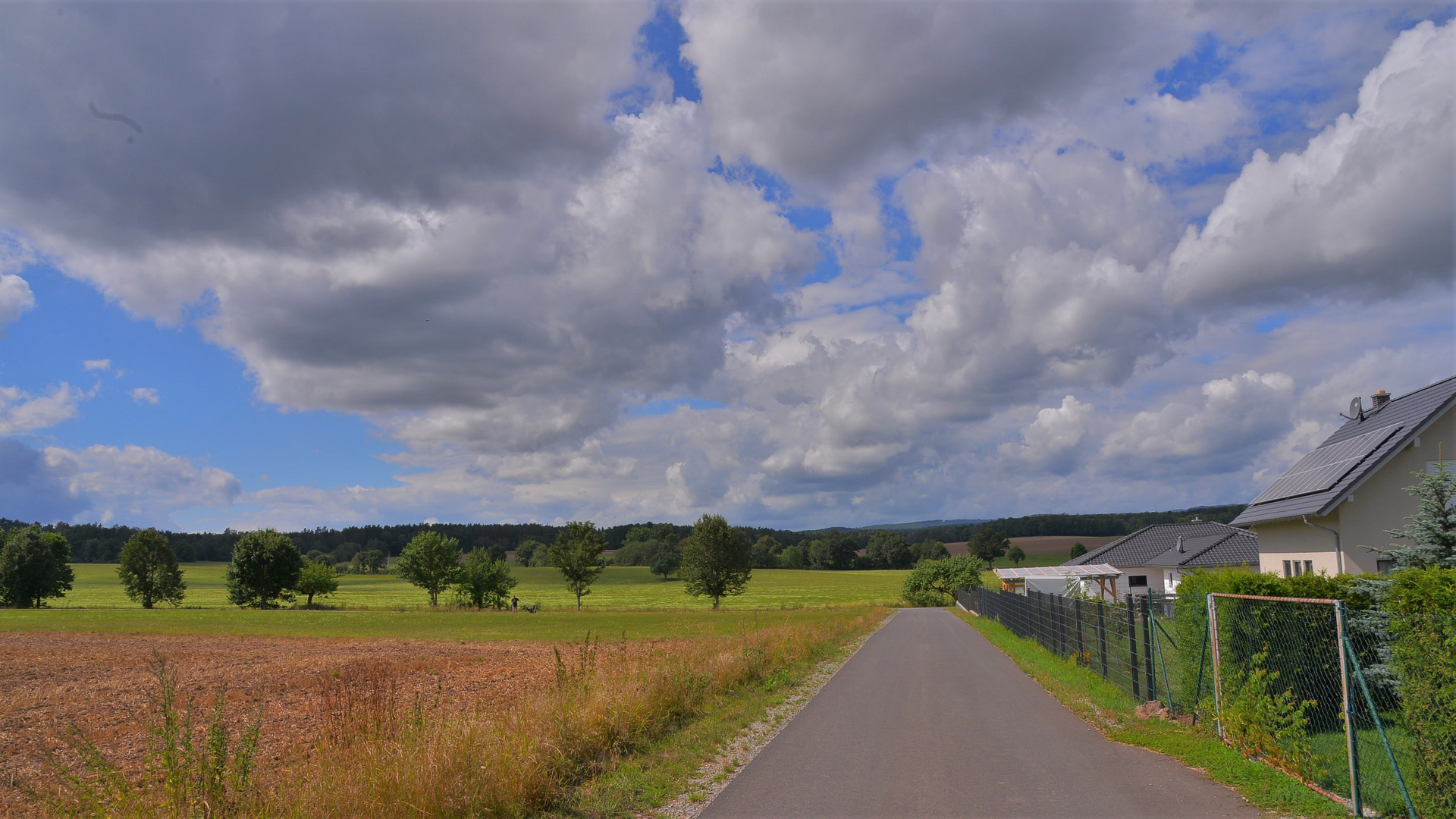 Weg zum See (camino al lago)