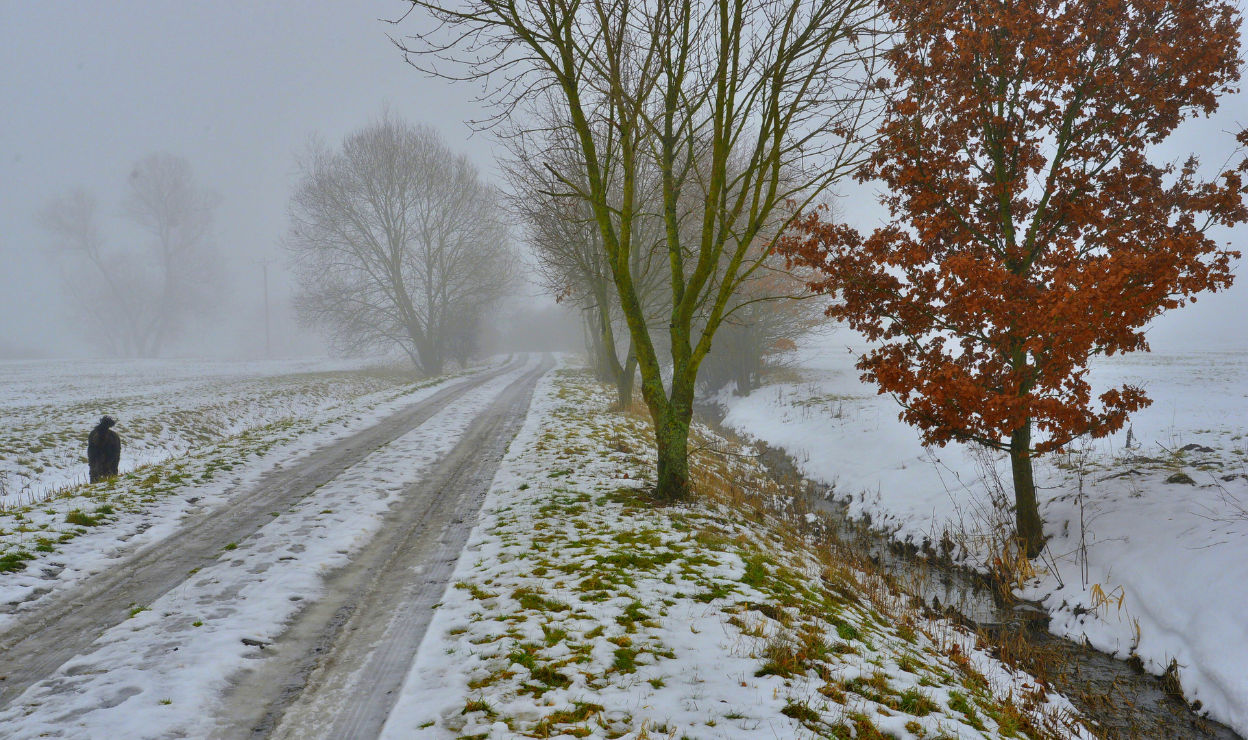 Weg zum See (camino al lago)