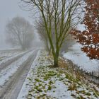 Weg zum See (camino al lago)