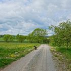 Weg zum See (camino al lago)