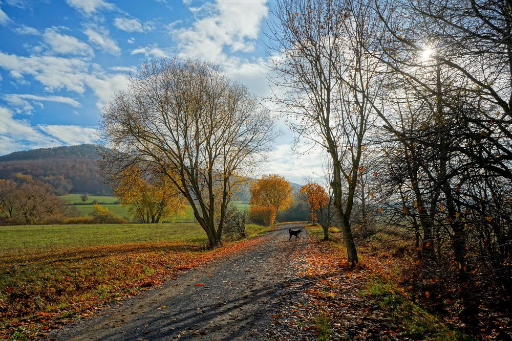 Weg zum See (camino al lago)